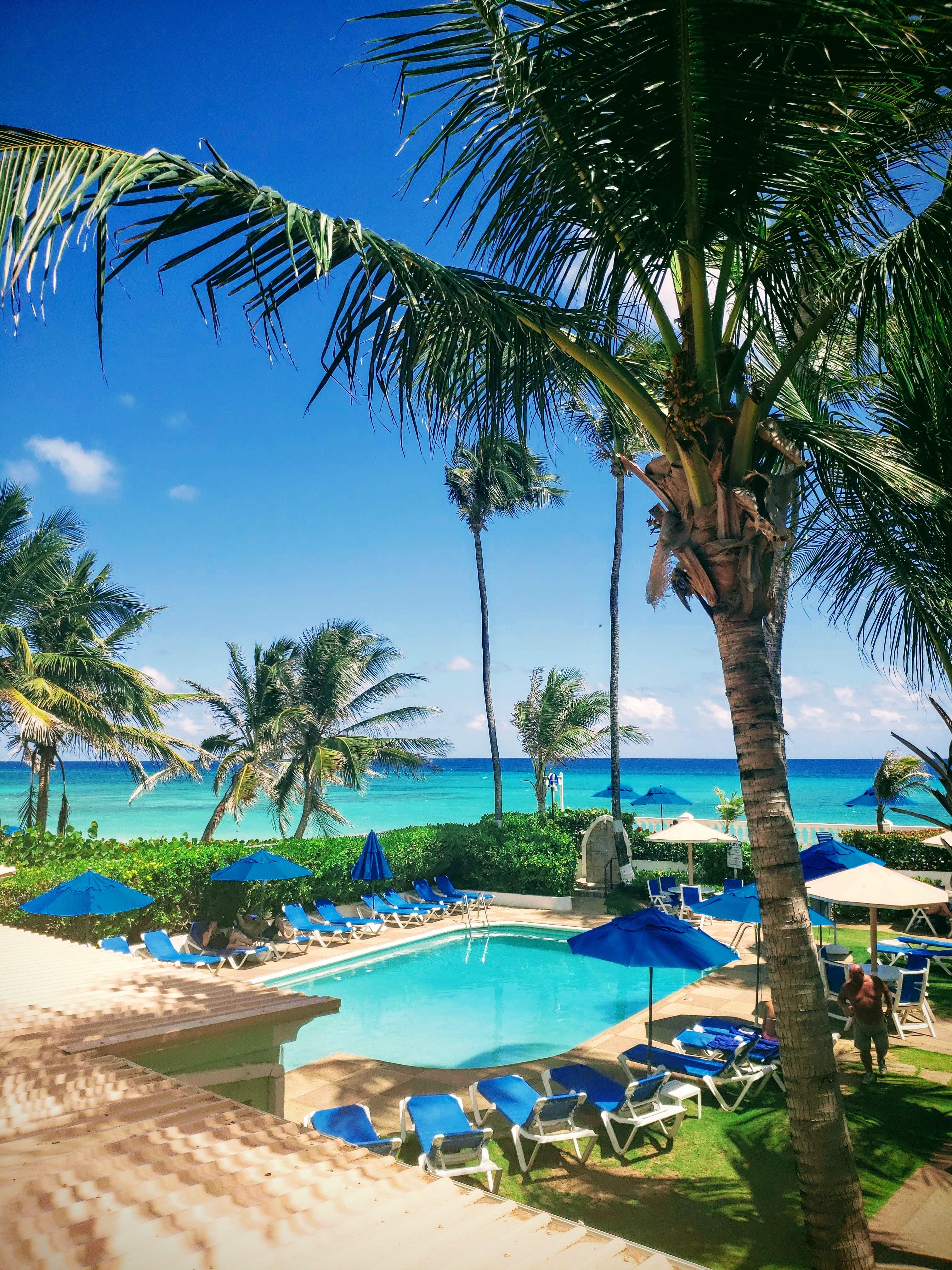 Dover Beach Hotel クライストチャーチ エクステリア 写真
