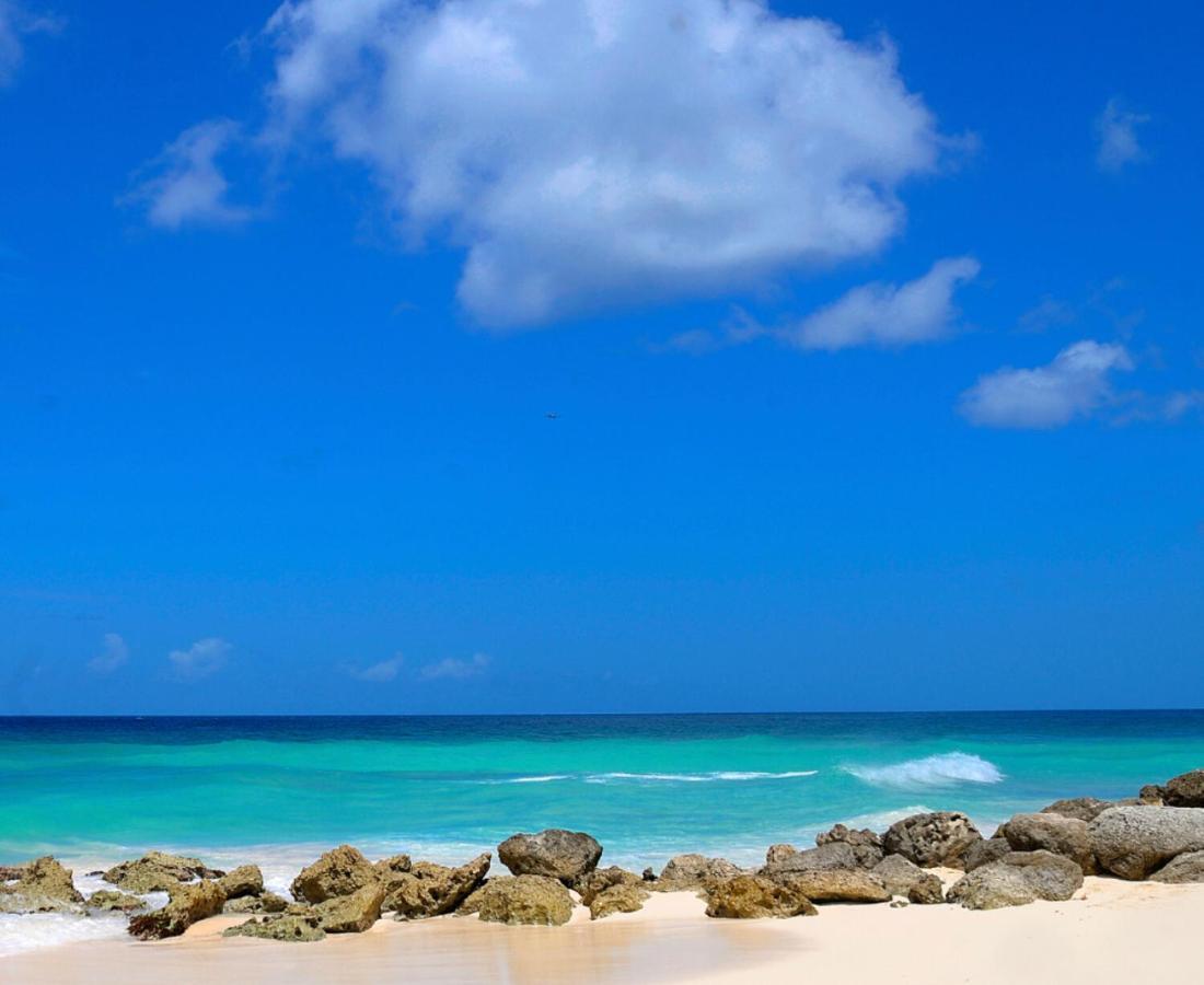 Dover Beach Hotel クライストチャーチ エクステリア 写真