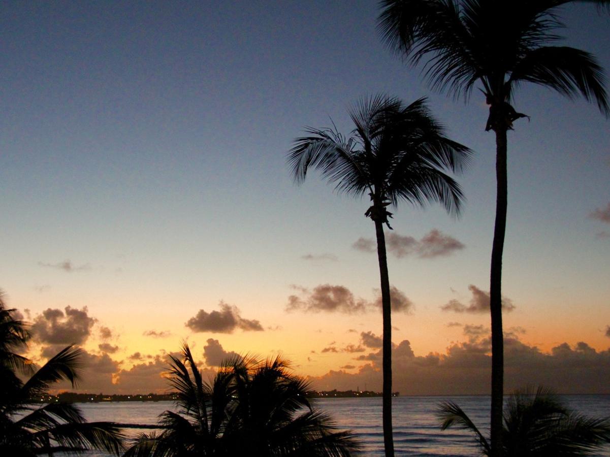 Dover Beach Hotel クライストチャーチ エクステリア 写真